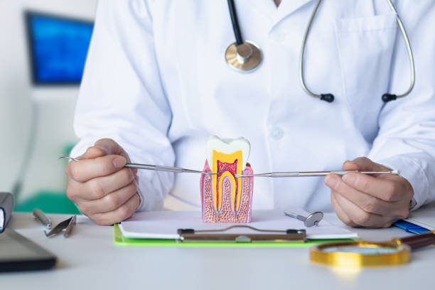 Best Emergency Treatment for Oral Infections in Williamsburg, OH